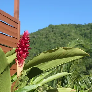 Bougain Fleuri Hébergement de vacances Deshaies
